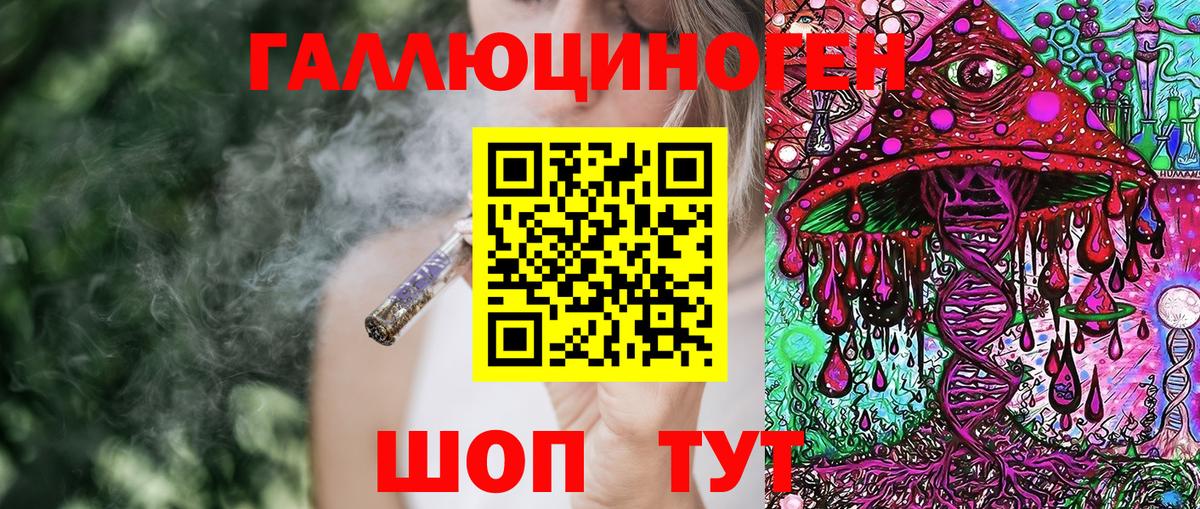 Галлюциногенные грибы Psilocybe Брянск